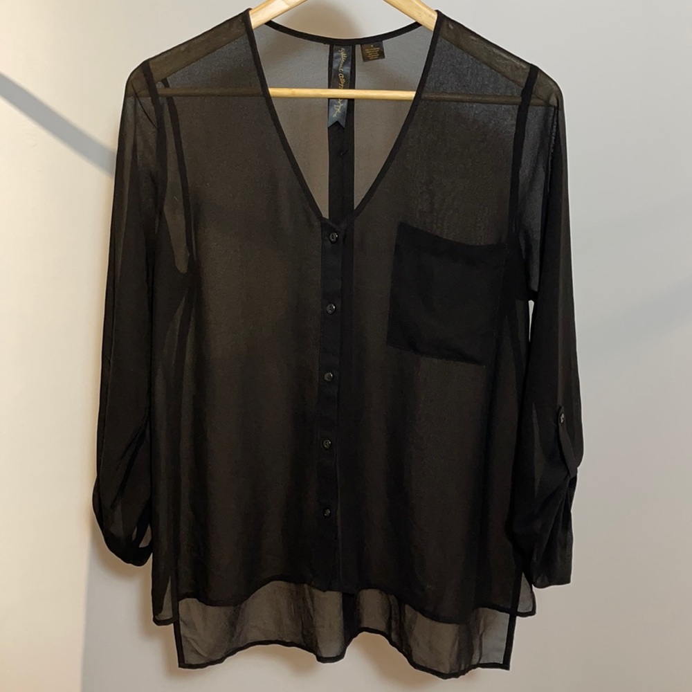 Petticoat Alley Sheer Flowy Button Down Top